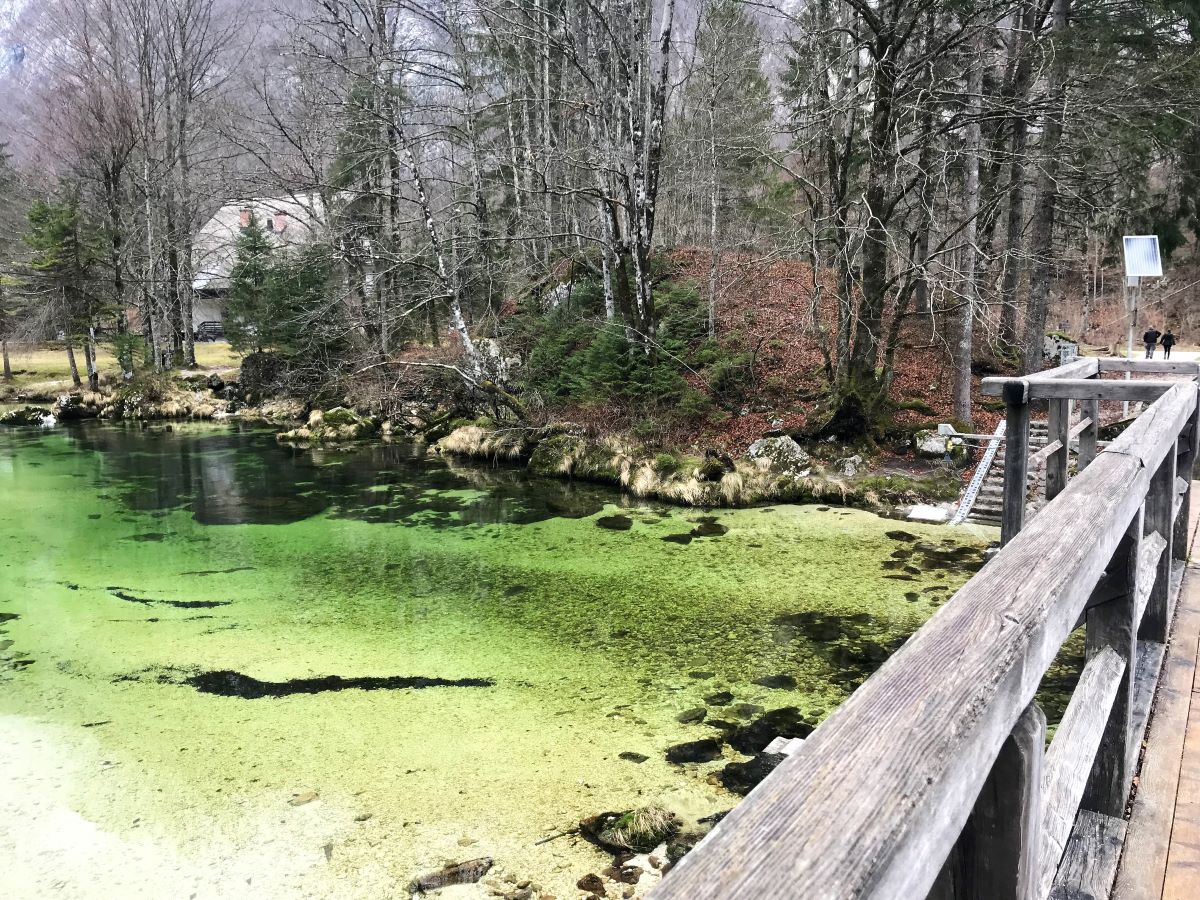bohinj_bridge